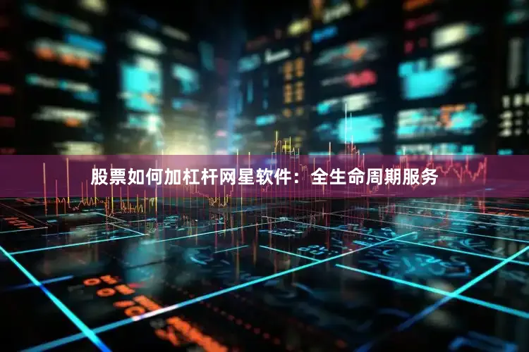 股票如何加杠杆网星软件：全生命周期服务