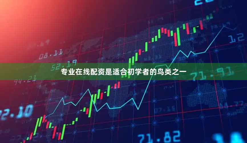 专业在线配资是适合初学者的鸟类之一