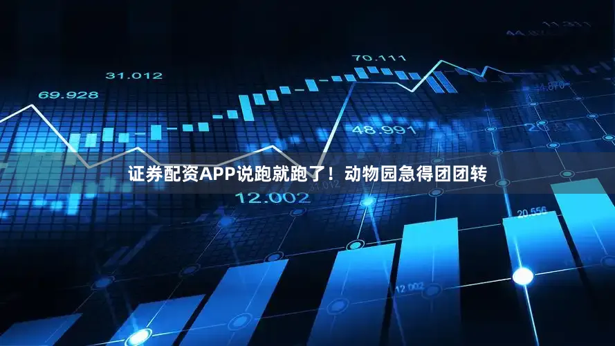 证券配资APP说跑就跑了！动物园急得团团转