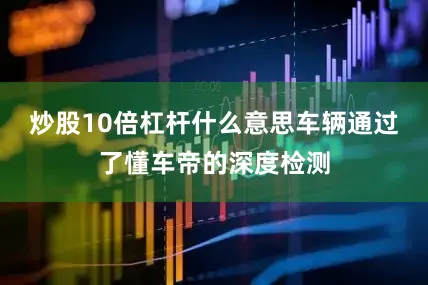 炒股10倍杠杆什么意思车辆通过了懂车帝的深度检测